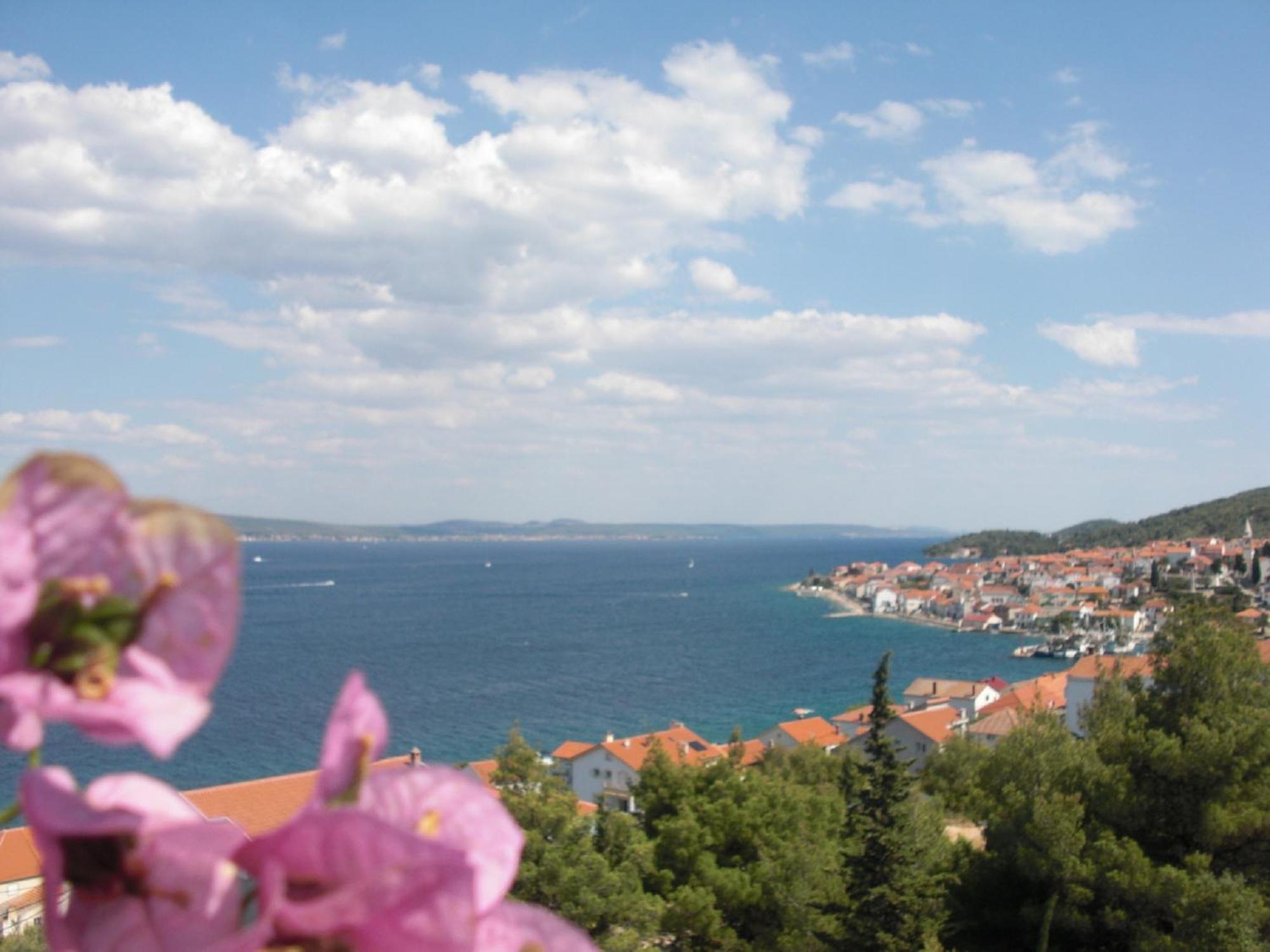Villa Dinastija Кали Номер фото