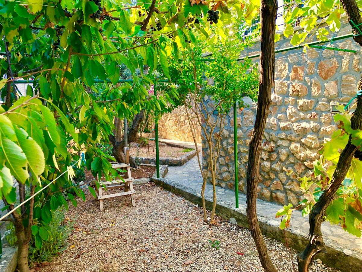 Villa Dinastija Кали Экстерьер фото