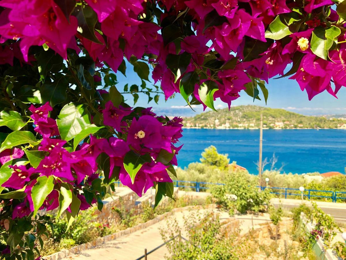 Villa Dinastija Кали Экстерьер фото